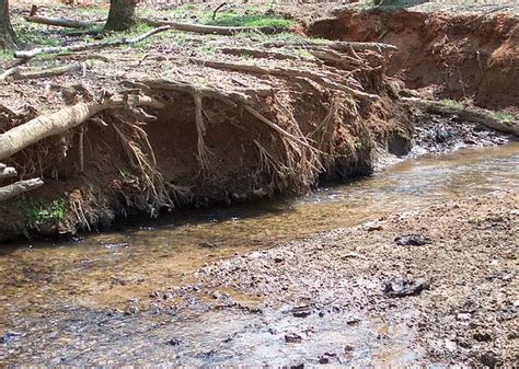 video on erosion for kids.